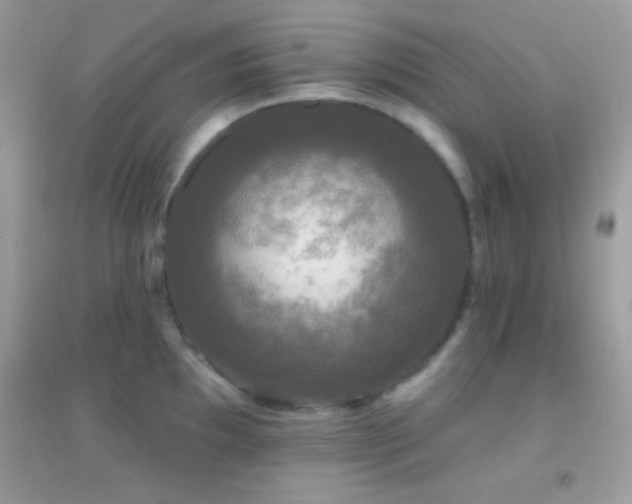 X0000095111097200712071211