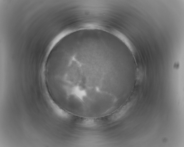 X0000095111098200712071211