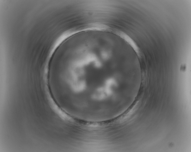 X0000095111099200712071211