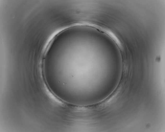 X0000095111100200712071211