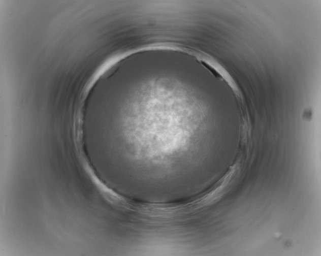 X0000095111101200712071211