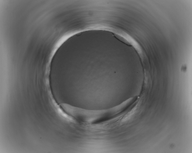 X0000095111102200712071211