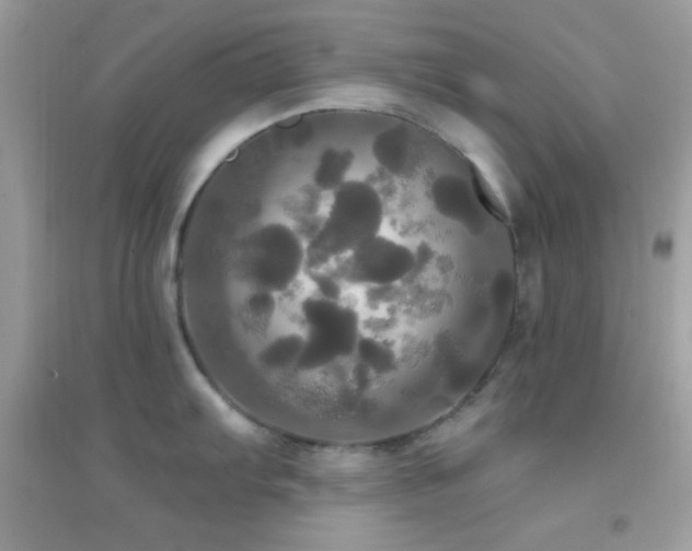 X0000095111103200712071211