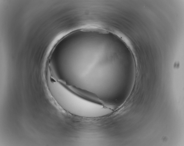 X0000095111104200712071211