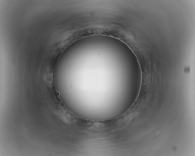 X0000095111109200712071211