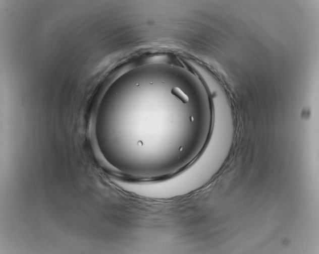 X0000095111110200712071211