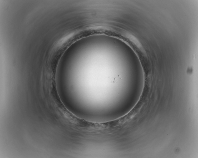 X0000095111111200712071211