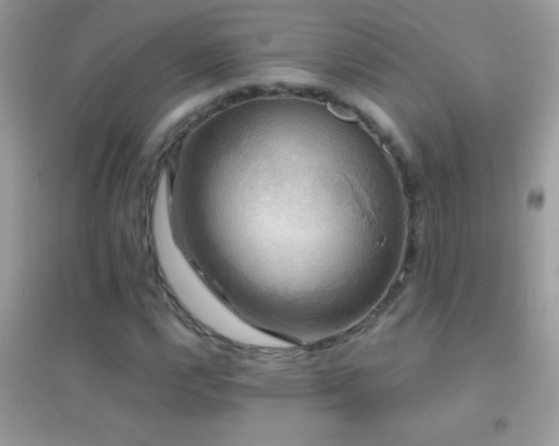 X0000095111112200712071211