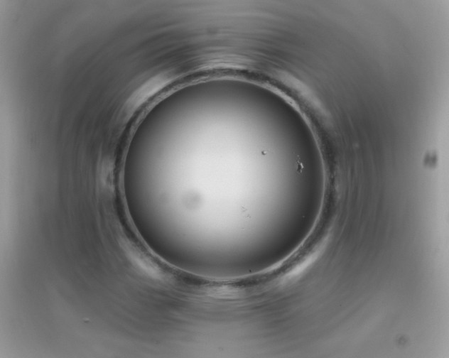 X0000095111113200712071211