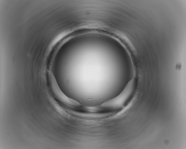 X0000095111114200712071211