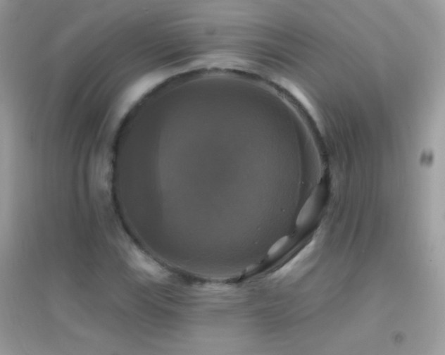 X0000095111115200712071211