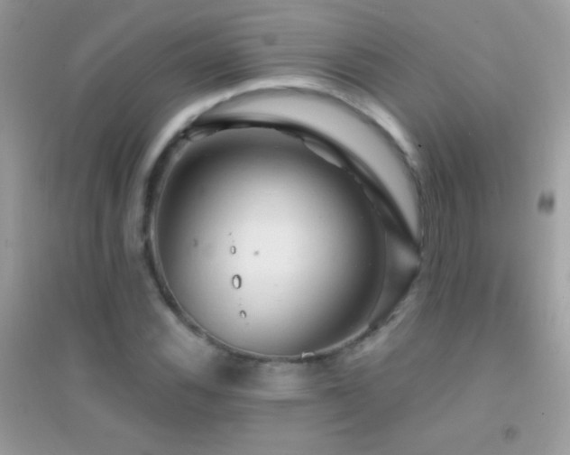 X0000095111116200712071211