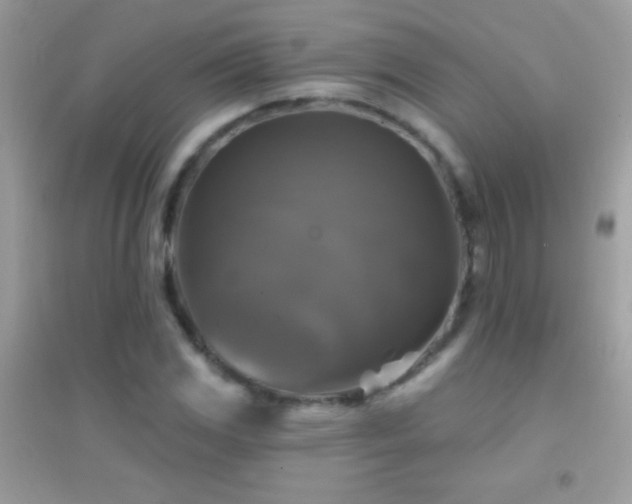 X0000095111117200712071211