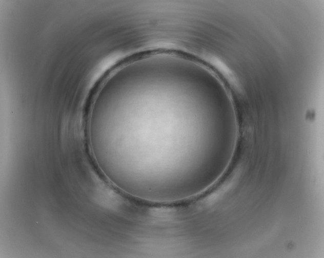 X0000095111118200712071211