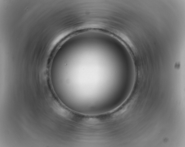 X0000095111119200712071211