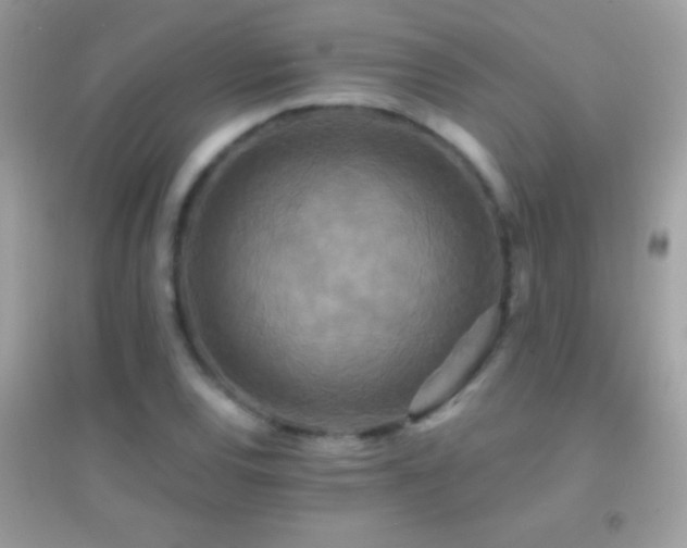 X0000095111120200712071211