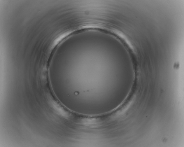 X0000095111121200712071211