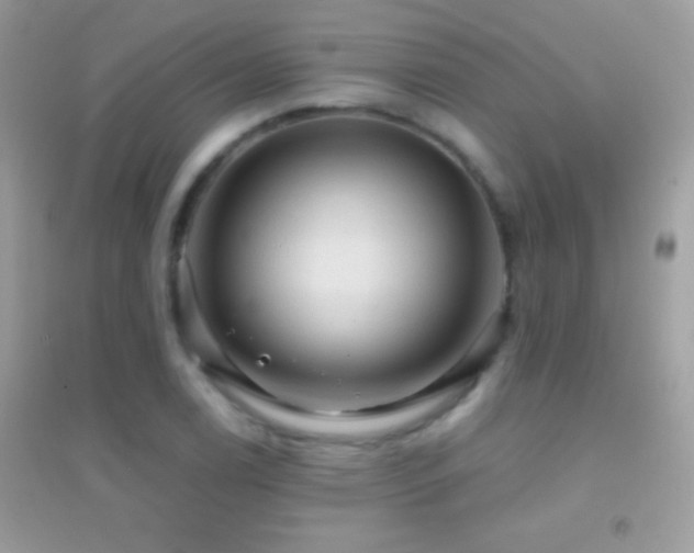 X0000095111122200712071211