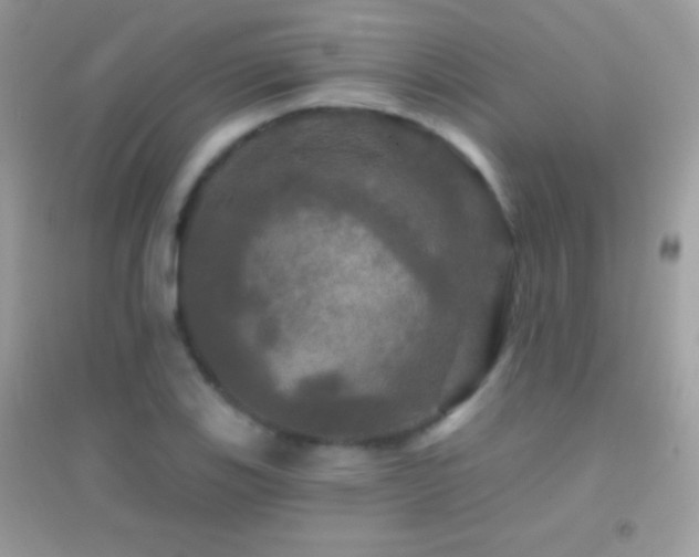 X0000095111123200712071211