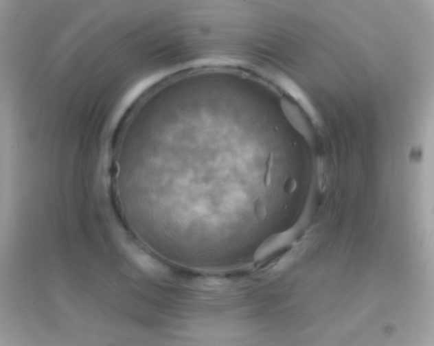 X0000095111124200712071211