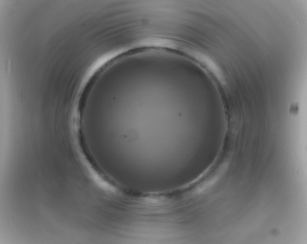 X0000095111125200712071211