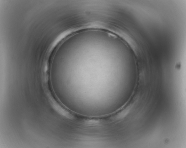 X0000095111126200712071211