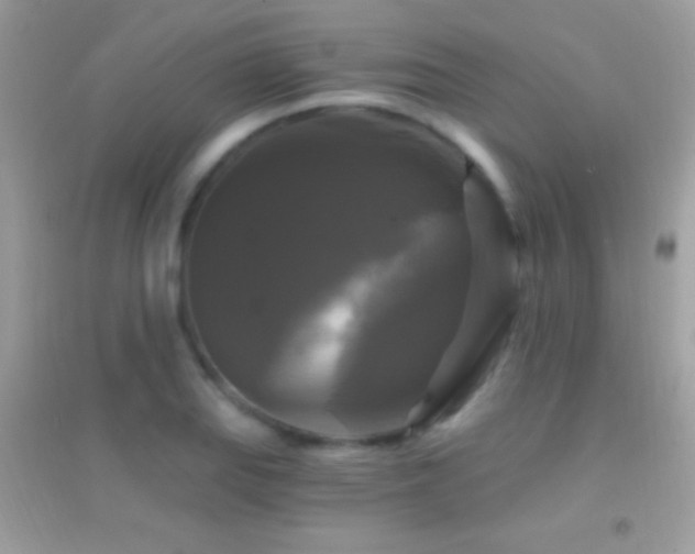 X0000095111127200712071211