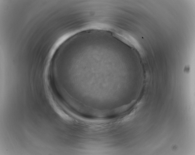 X0000095111128200712071211