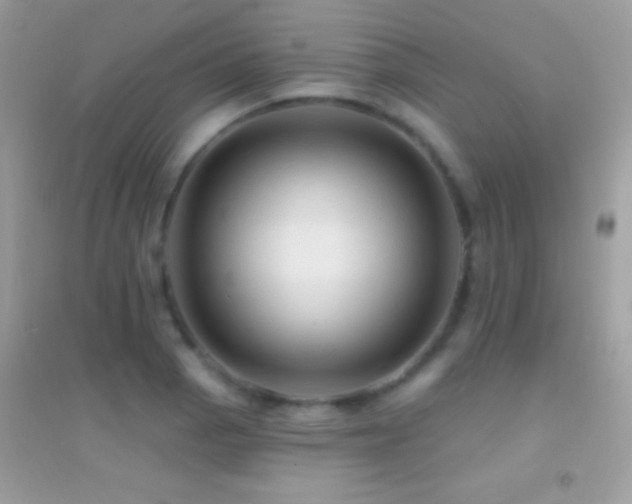 X0000095111129200712071211