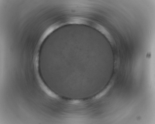 X0000095111130200712071211