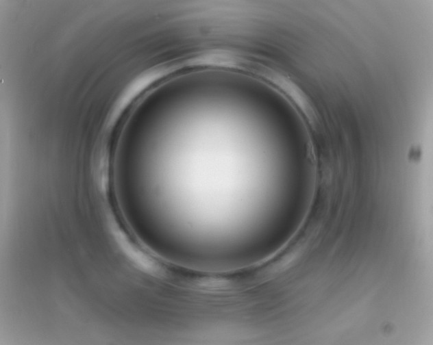 X0000095111131200712071211