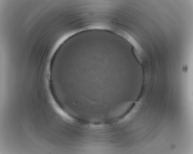 X0000095111132200712071211