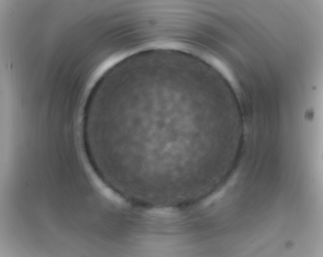 X0000095111133200712071211