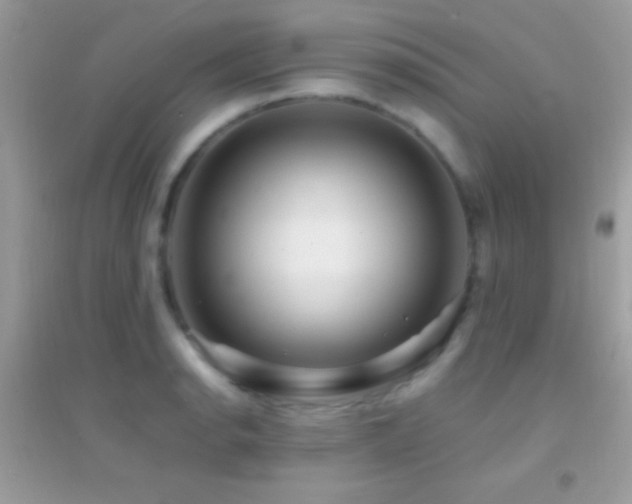 X0000095111134200712071211