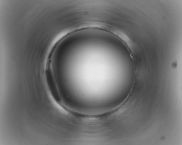 X0000095111135200712071211