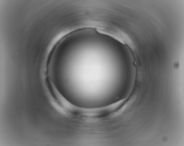 X0000095111136200712071211