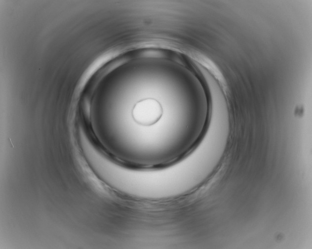 X0000095111138200712071211