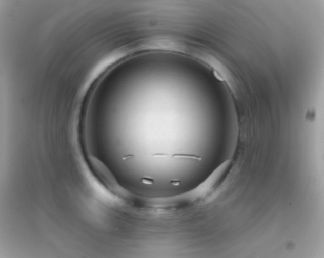 X0000095111139200712071211