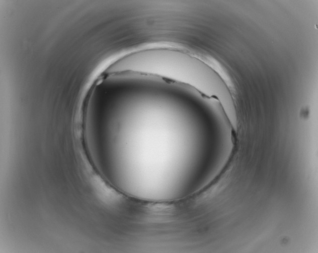 X0000095111140200712071211