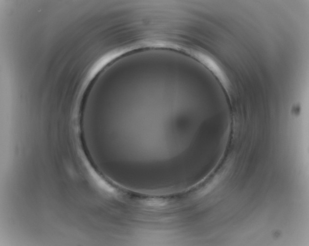 X0000095111141200712071211