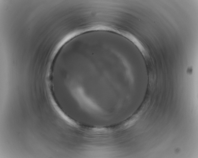 X0000095111142200712071211