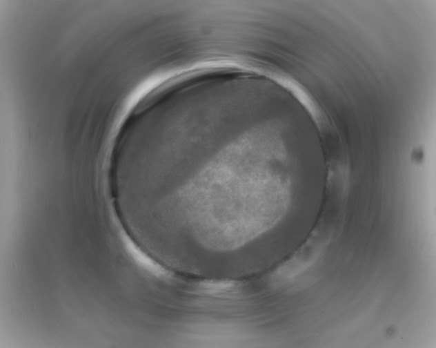 X0000095111143200712071211