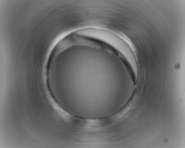 X0000095111144200712071211