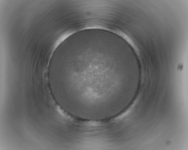 X0000095111145200712071211