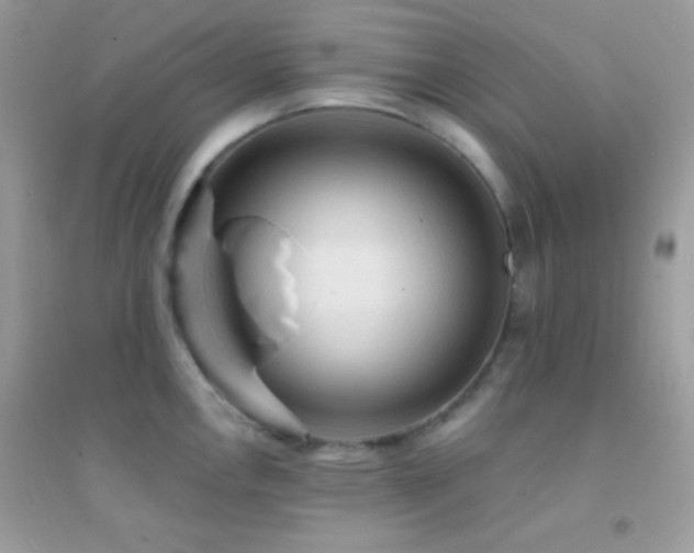 X0000095111146200712071211