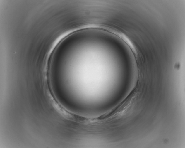 X0000095111148200712071211