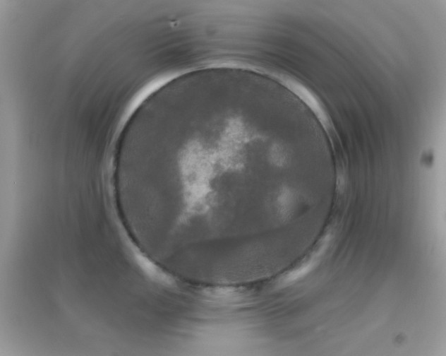 X0000095111149200712071211