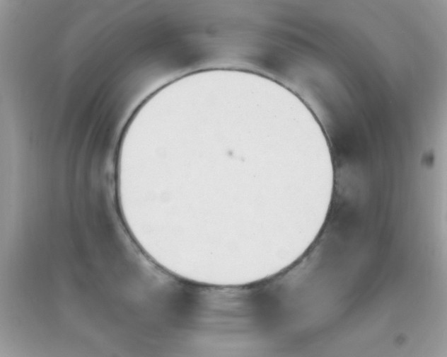 X0000095111150200712071211