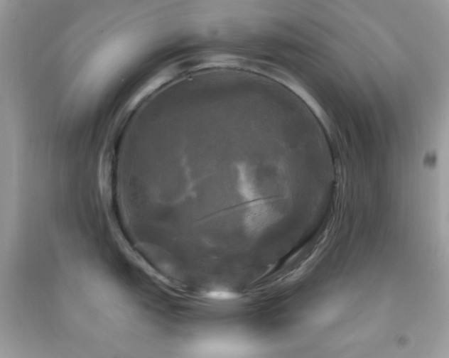 X0000095111151200712071211