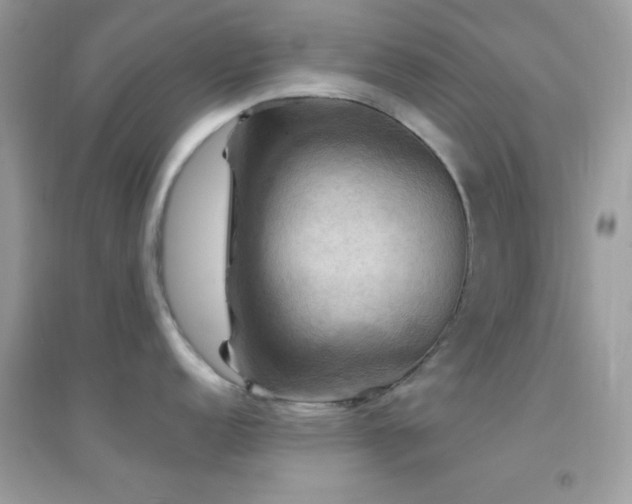 X0000095111152200712071211